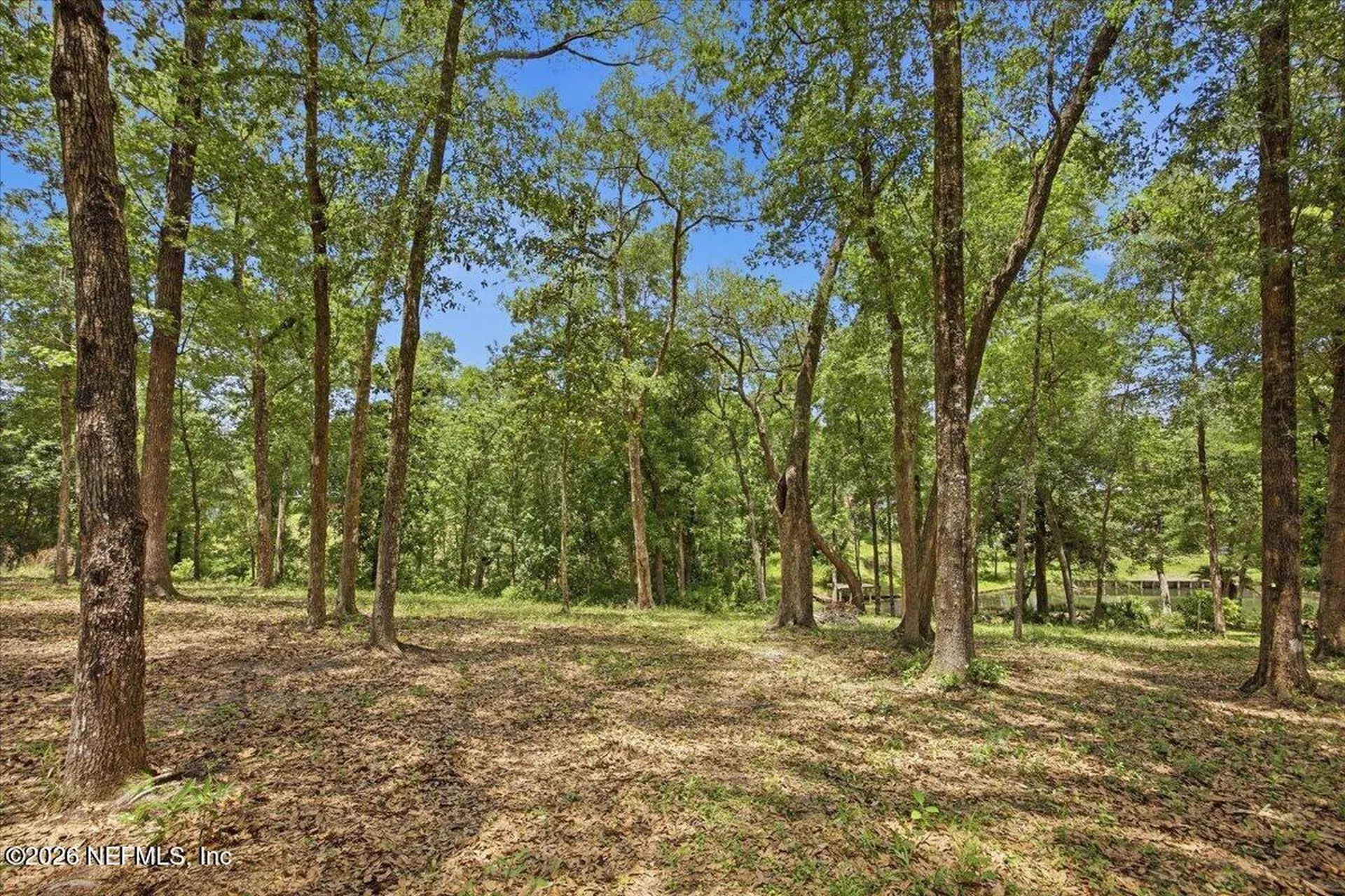 1239 Lake Asbury Drive Green Cove Springs FL 32043