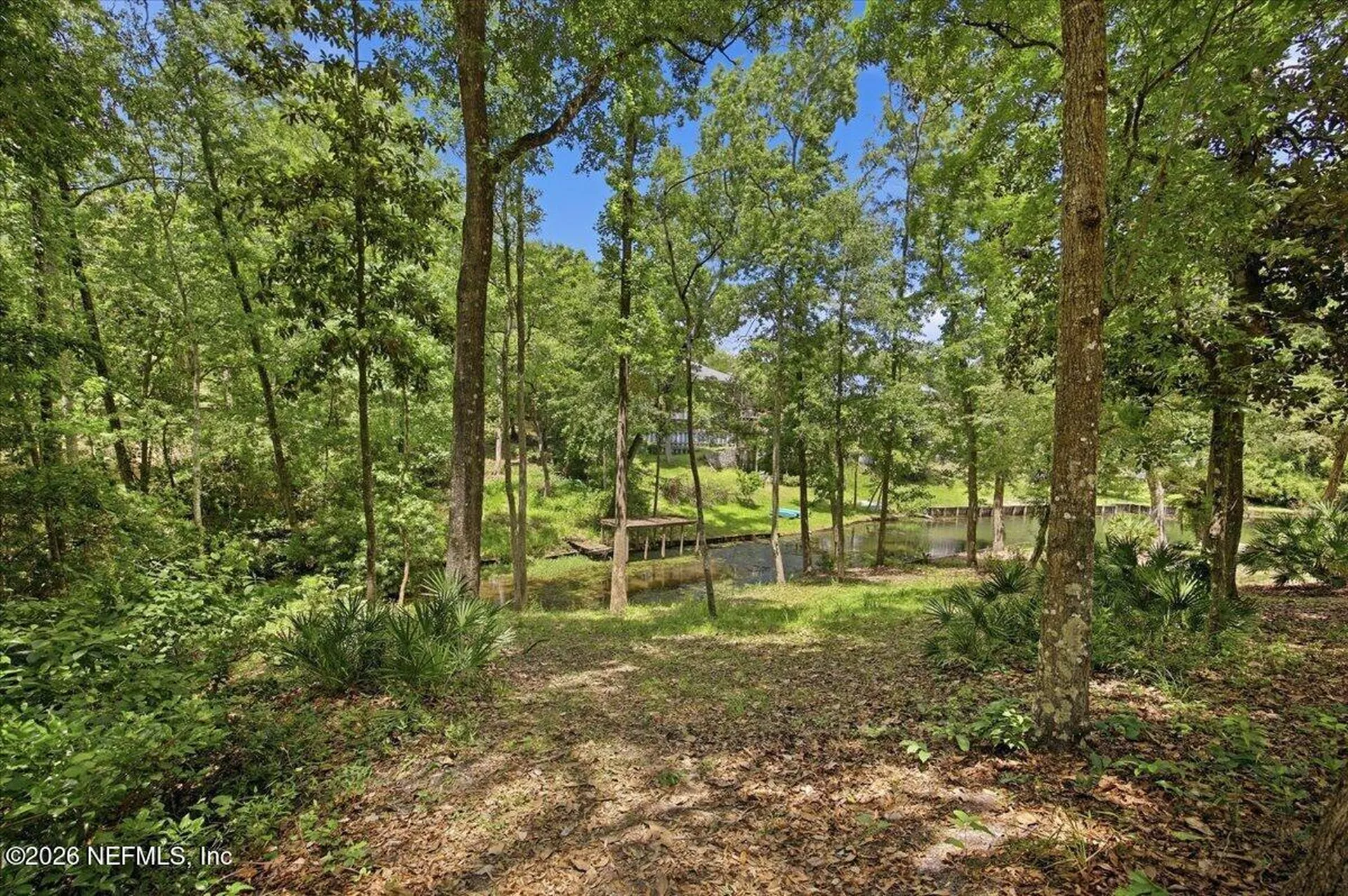 1239 Lake Asbury Drive Green Cove Springs FL 32043