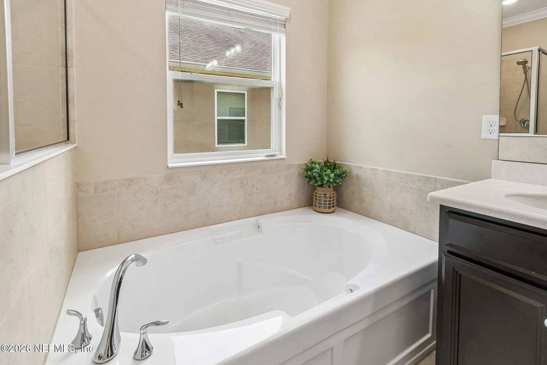 10111 Bedford Lakes Court Jacksonville FL 32222