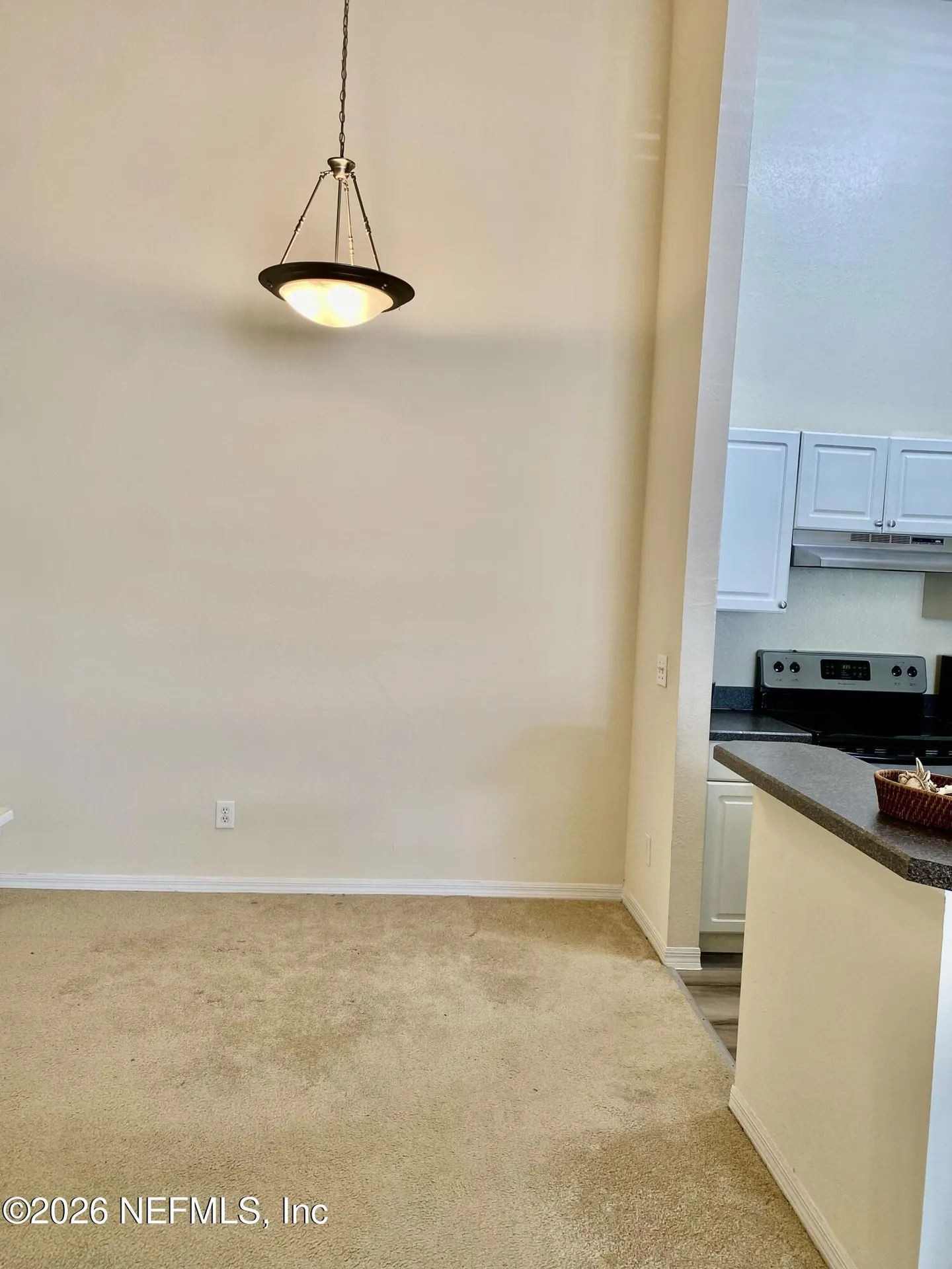 1717 County Road 220 Fleming Island FL 32003