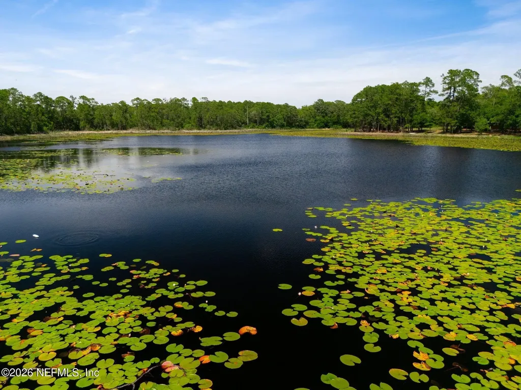 100 Mcgrady Lake Road Crescent City FL 32112