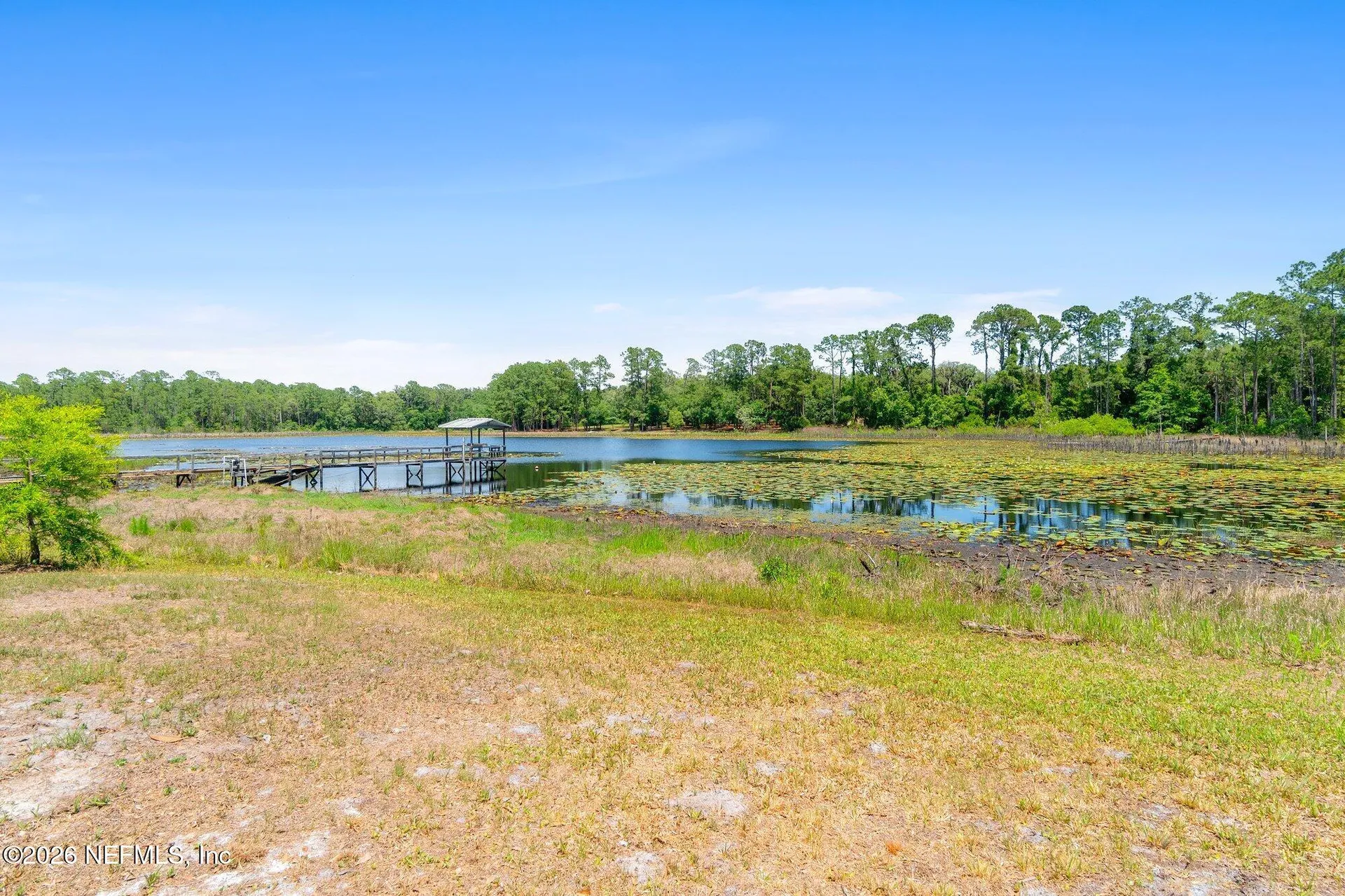 100 Mcgrady Lake Road Crescent City FL 32112
