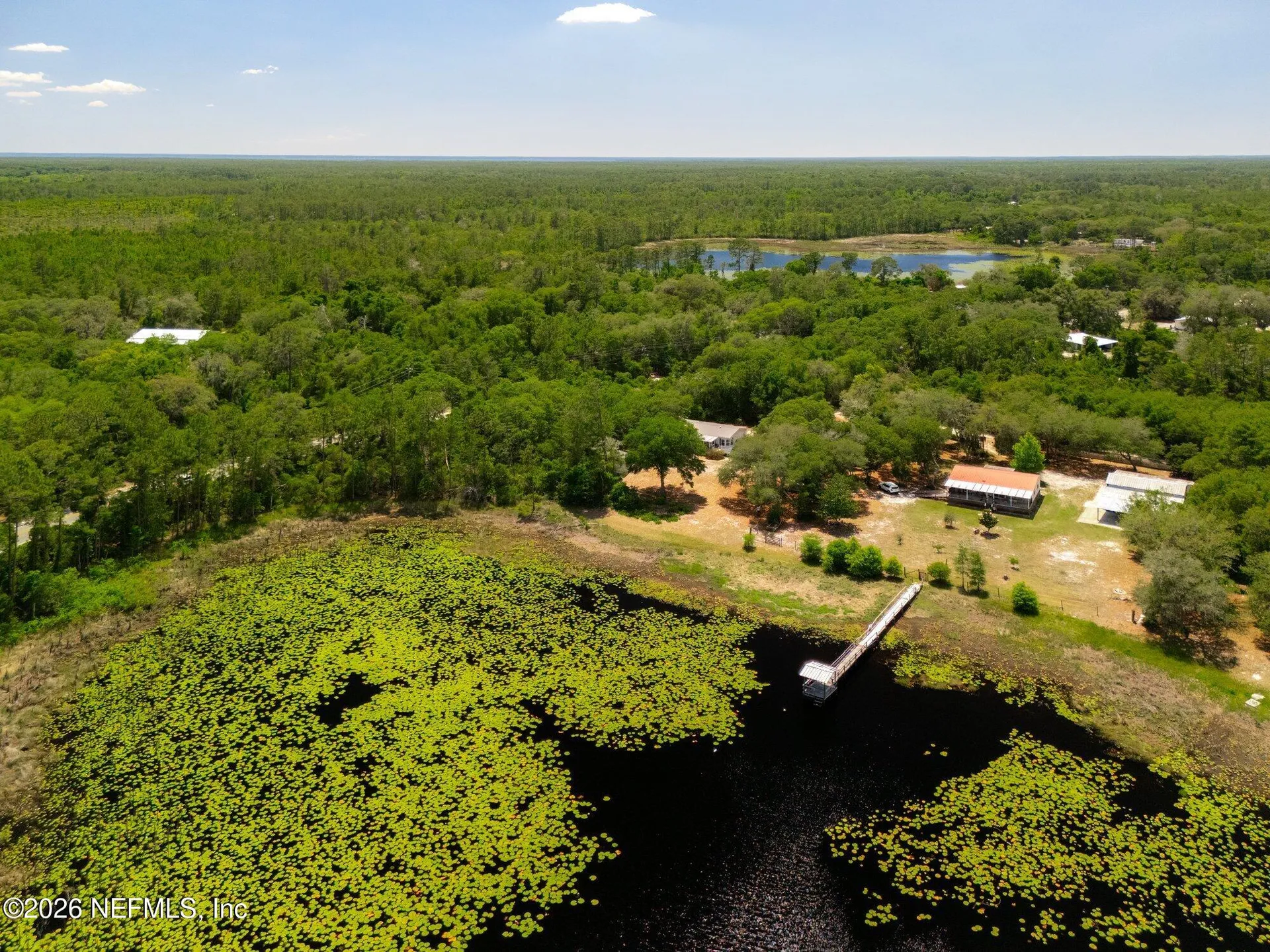 100 Mcgrady Lake Road Crescent City FL 32112