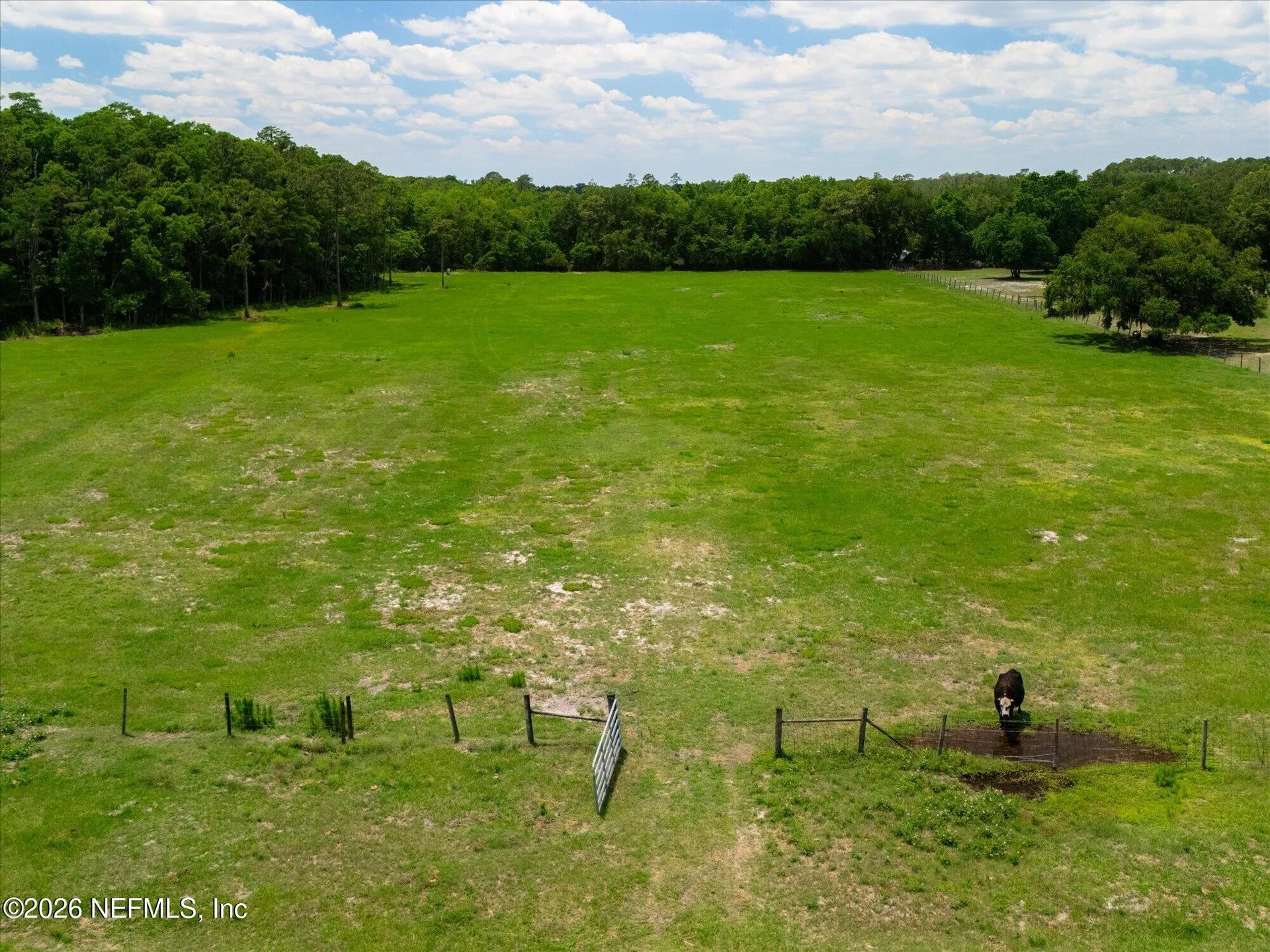 786 W River Road Palatka FL 32177