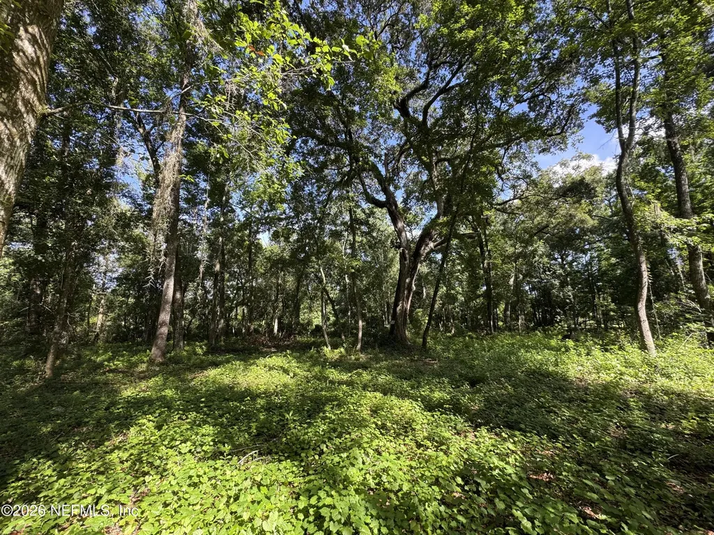 241 Indian Lakes Forest Road Florahome FL 32140