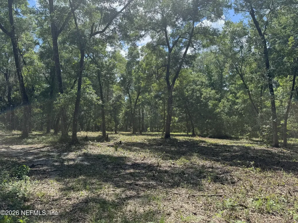 241 Indian Lakes Forest Road Florahome FL 32140