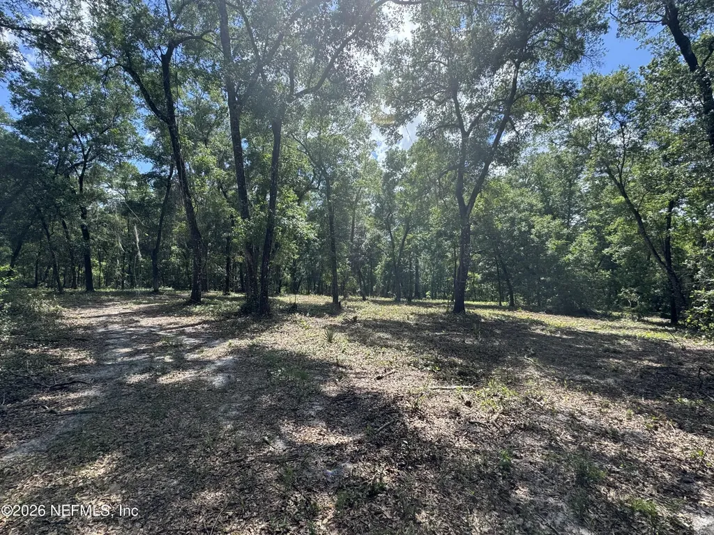 241 Indian Lakes Forest Road Florahome FL 32140