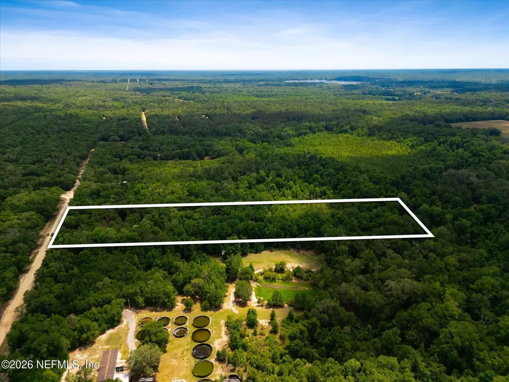 241 Indian Lakes Forest Road Florahome FL 32140