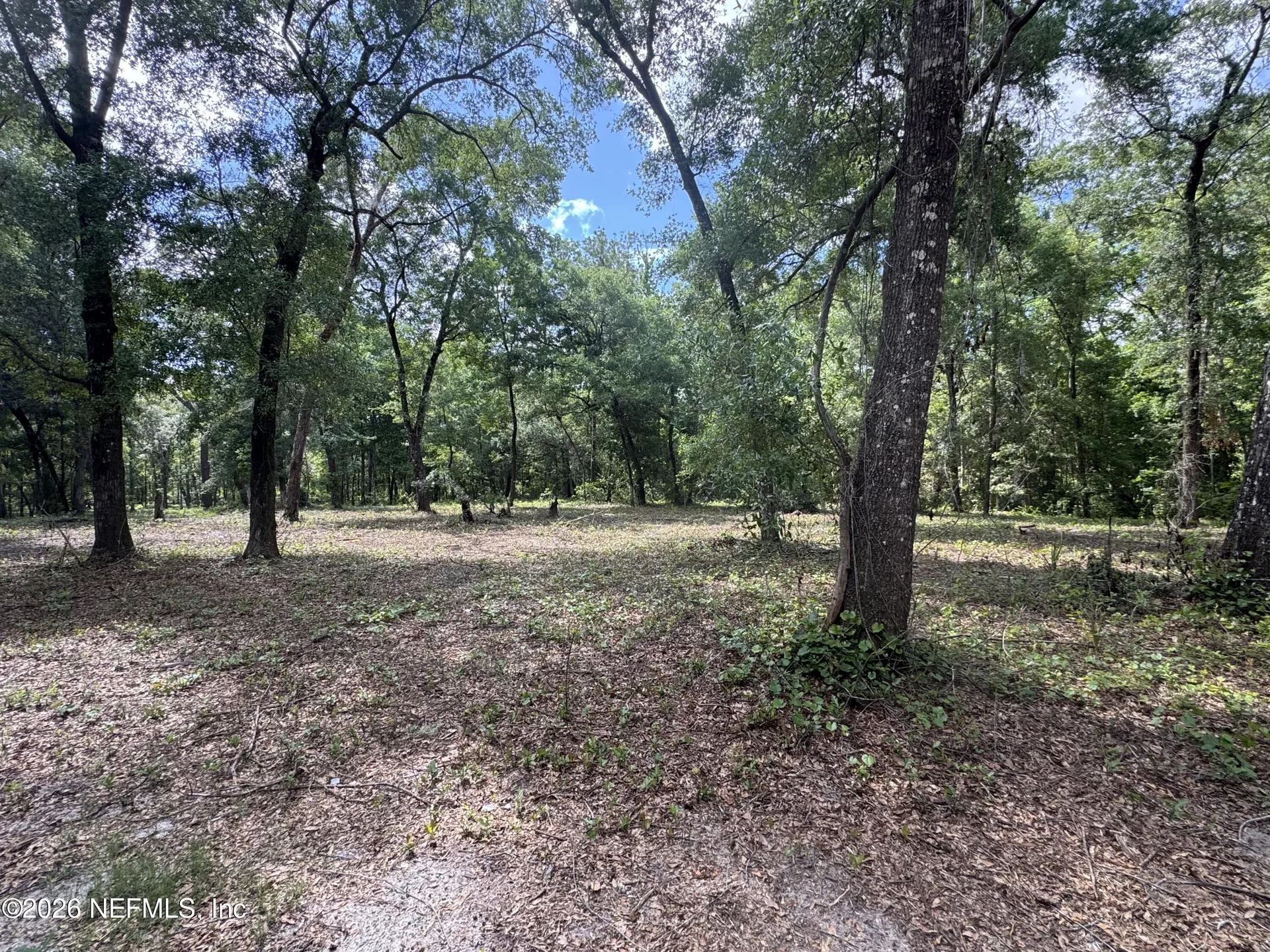 241 Indian Lakes Forest Road Florahome FL 32140
