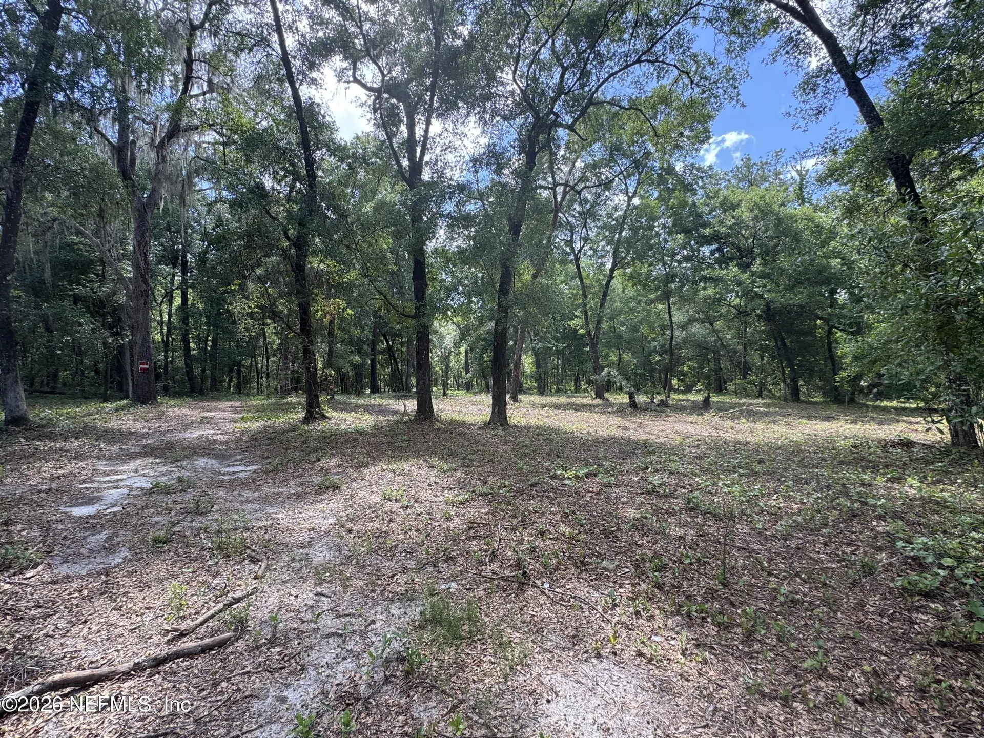 241 Indian Lakes Forest Road Florahome FL 32140