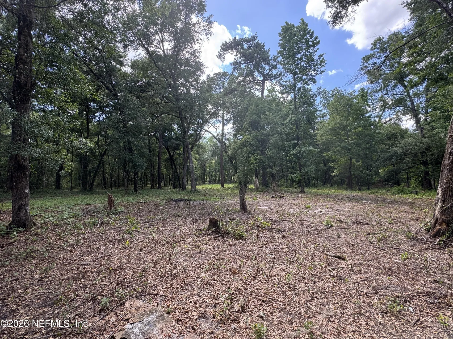 241 Indian Lakes Forest Road Florahome FL 32140