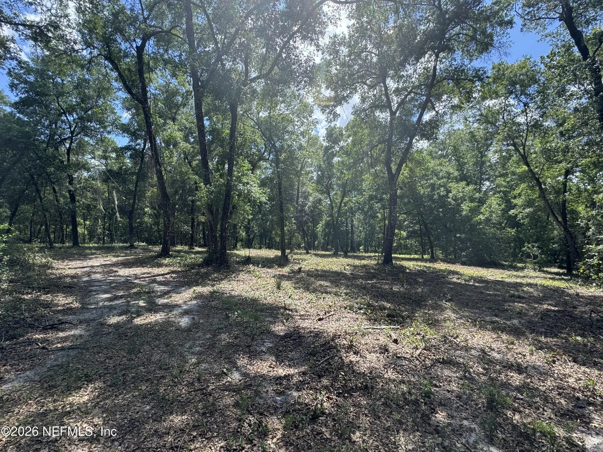 241 Indian Lakes Forest Road Florahome FL 32140