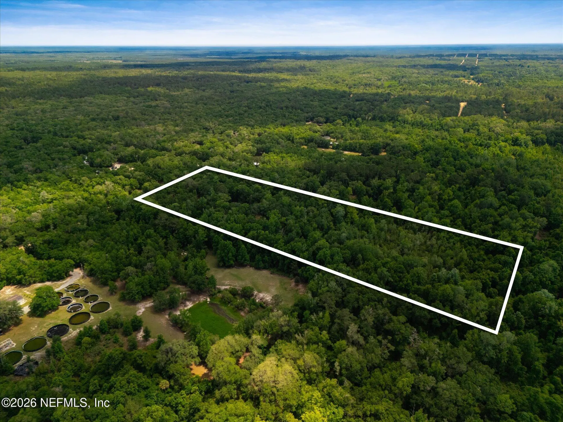 241 Indian Lakes Forest Road Florahome FL 32140