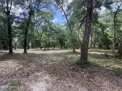 241 Indian Lakes Forest Road Florahome FL 32140
