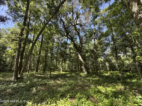 241 Indian Lakes Forest Road Florahome FL 32140