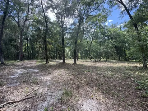 241 Indian Lakes Forest Road Florahome FL 32140