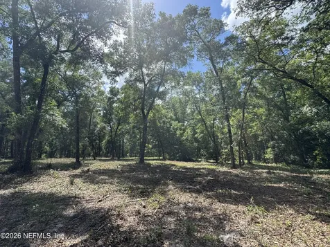 241 Indian Lakes Forest Road Florahome FL 32140