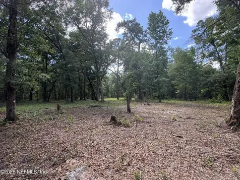 241 Indian Lakes Forest Road Florahome FL 32140