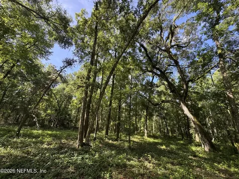 241 Indian Lakes Forest Road Florahome FL 32140