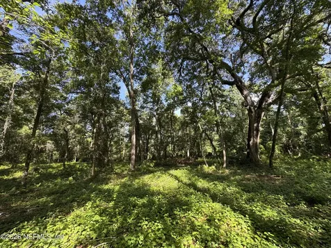 241 Indian Lakes Forest Road Florahome FL 32140