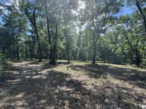 241 Indian Lakes Forest Road Florahome FL 32140