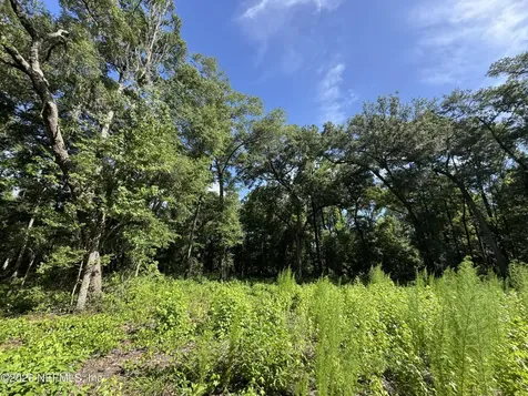 241 Indian Lakes Forest Road Florahome FL 32140