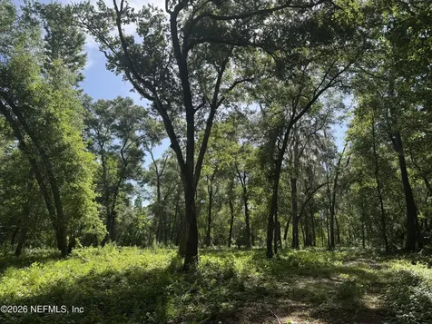 241 Indian Lakes Forest Road Florahome FL 32140