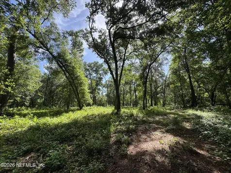 241 Indian Lakes Forest Road Florahome FL 32140