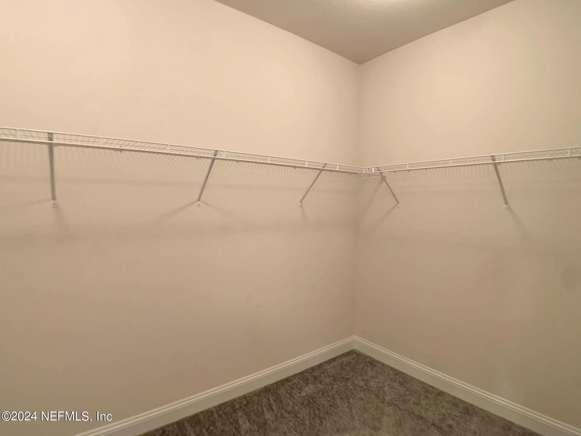 1499 Tropical Pine Cove Middleburg FL 32068