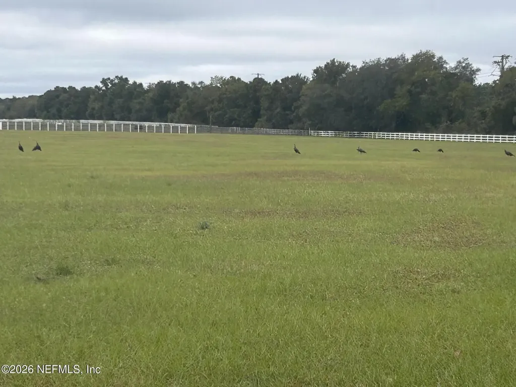 5411 State Road 21 Keystone Heights FL 32656