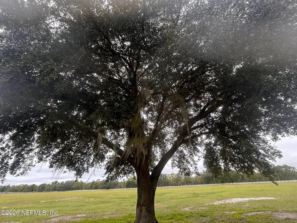 5411 State Road 21 Keystone Heights FL 32656