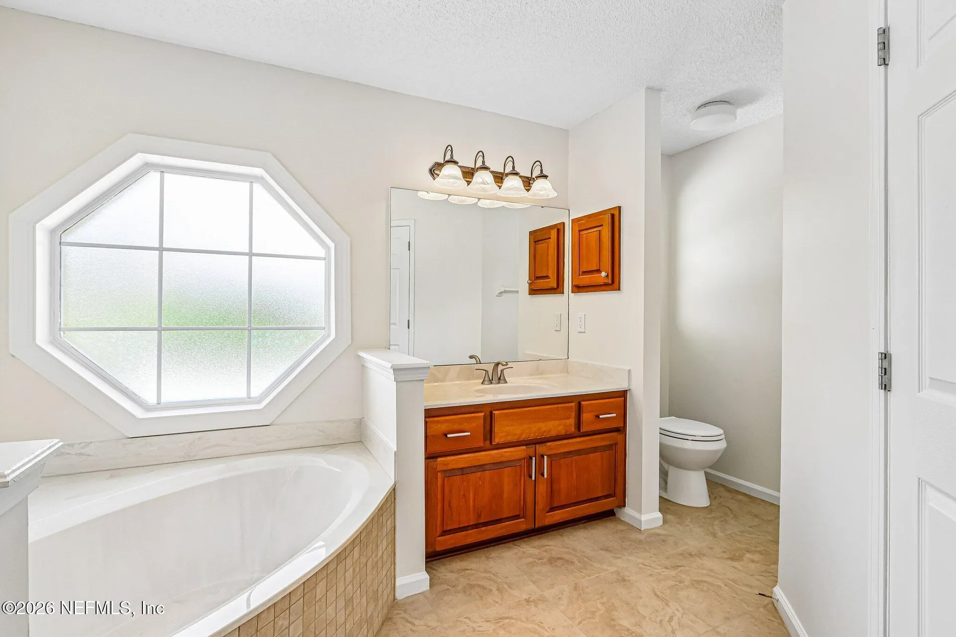 3291 Chimney Drive Middleburg FL 32068