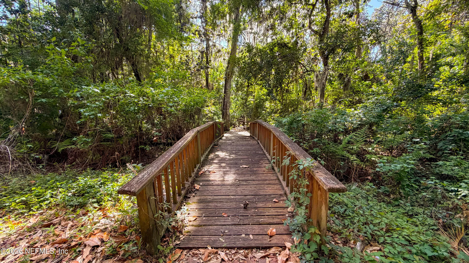 13451 Owl Hollow Court Jacksonville FL 32223