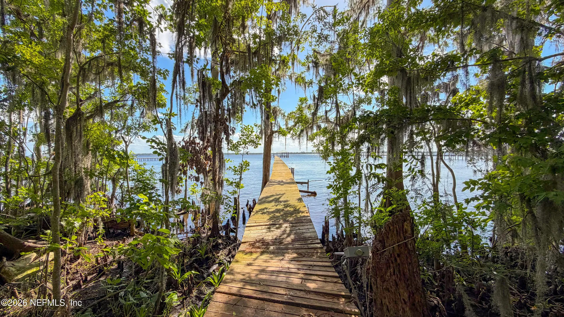 13451 Owl Hollow Court Jacksonville FL 32223