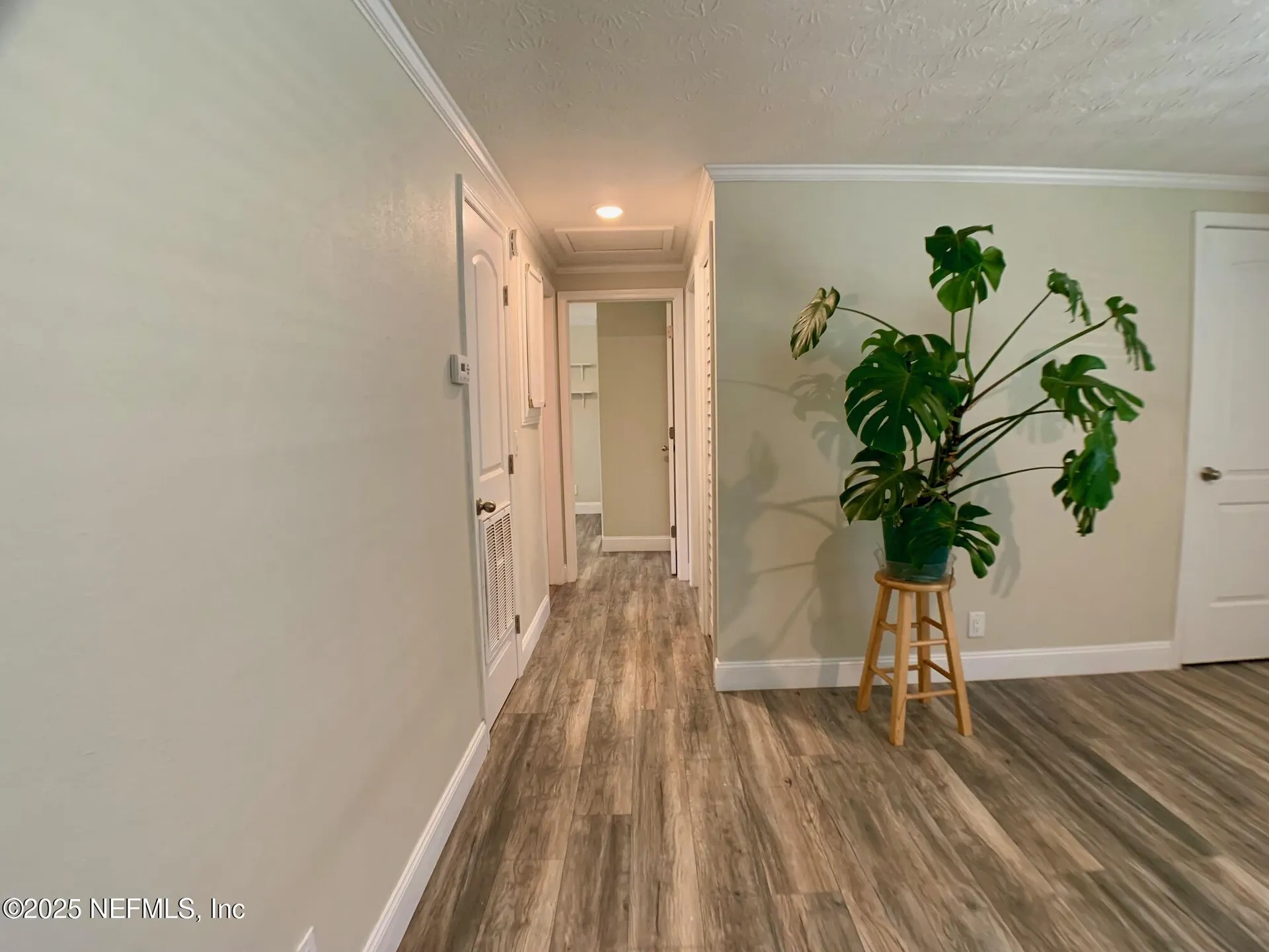435 Sigsbee Road Orange Park FL 32073