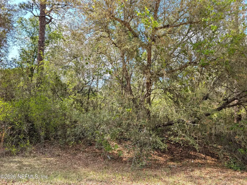 5813 Bryce Street Keystone Heights FL 32656