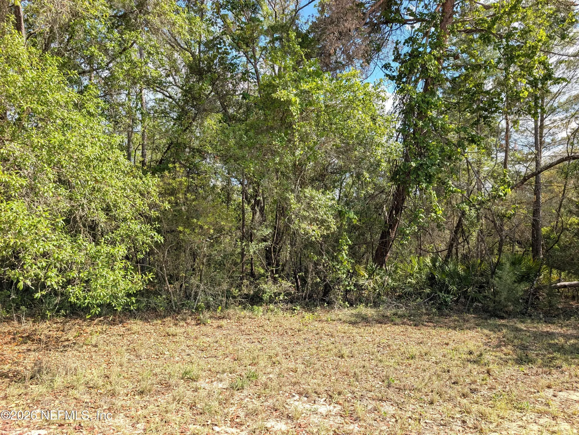5813 Bryce Street Keystone Heights FL 32656