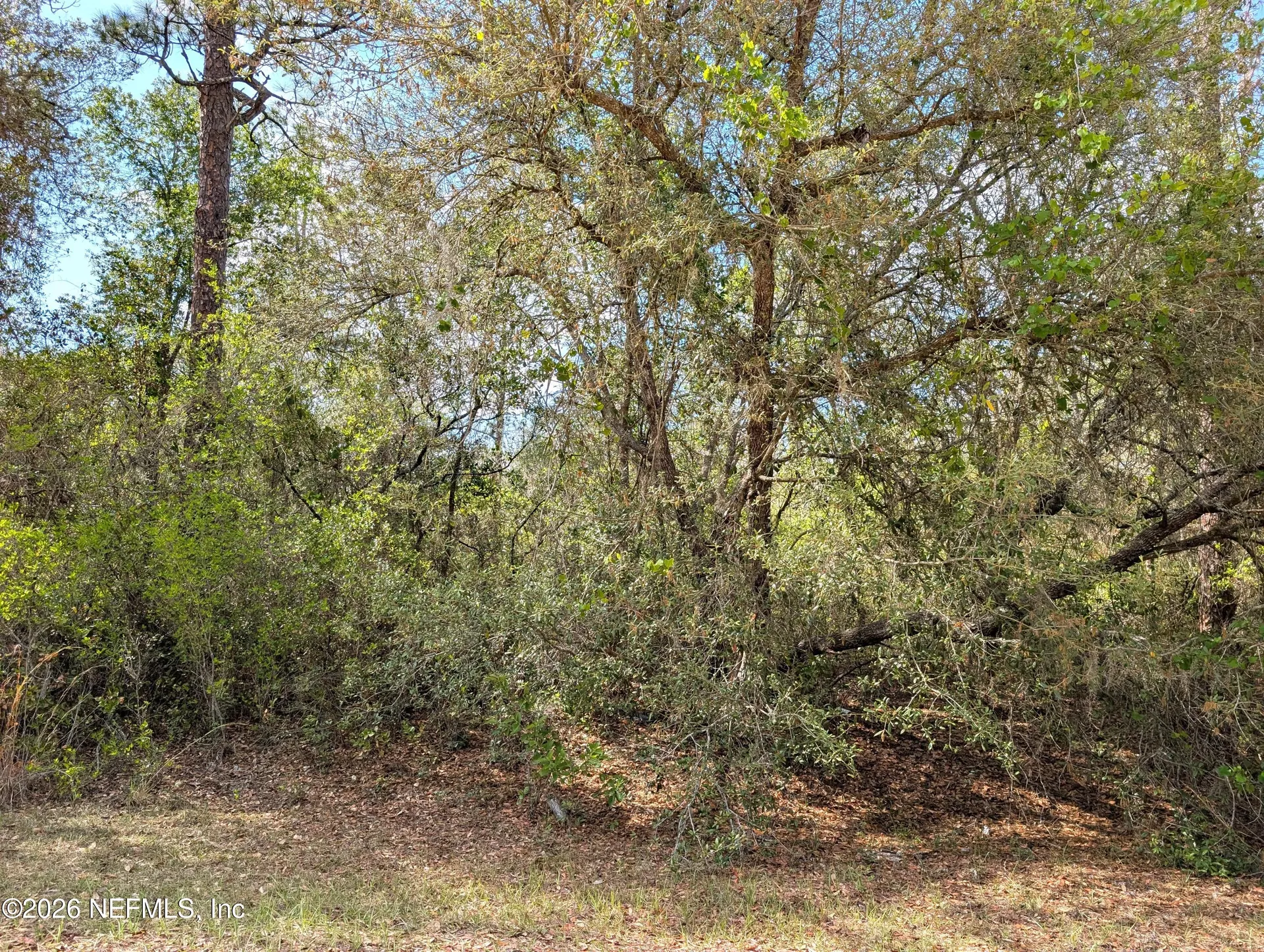 5813 Bryce Street Keystone Heights FL 32656
