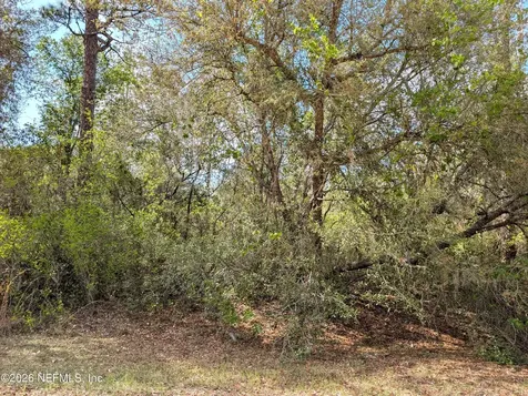 5813 Bryce Street Keystone Heights FL 32656