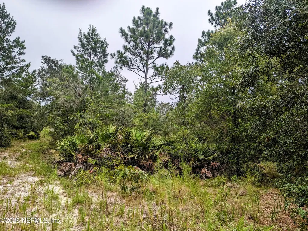 5572 Deerlodge Court Keystone Heights FL 32656
