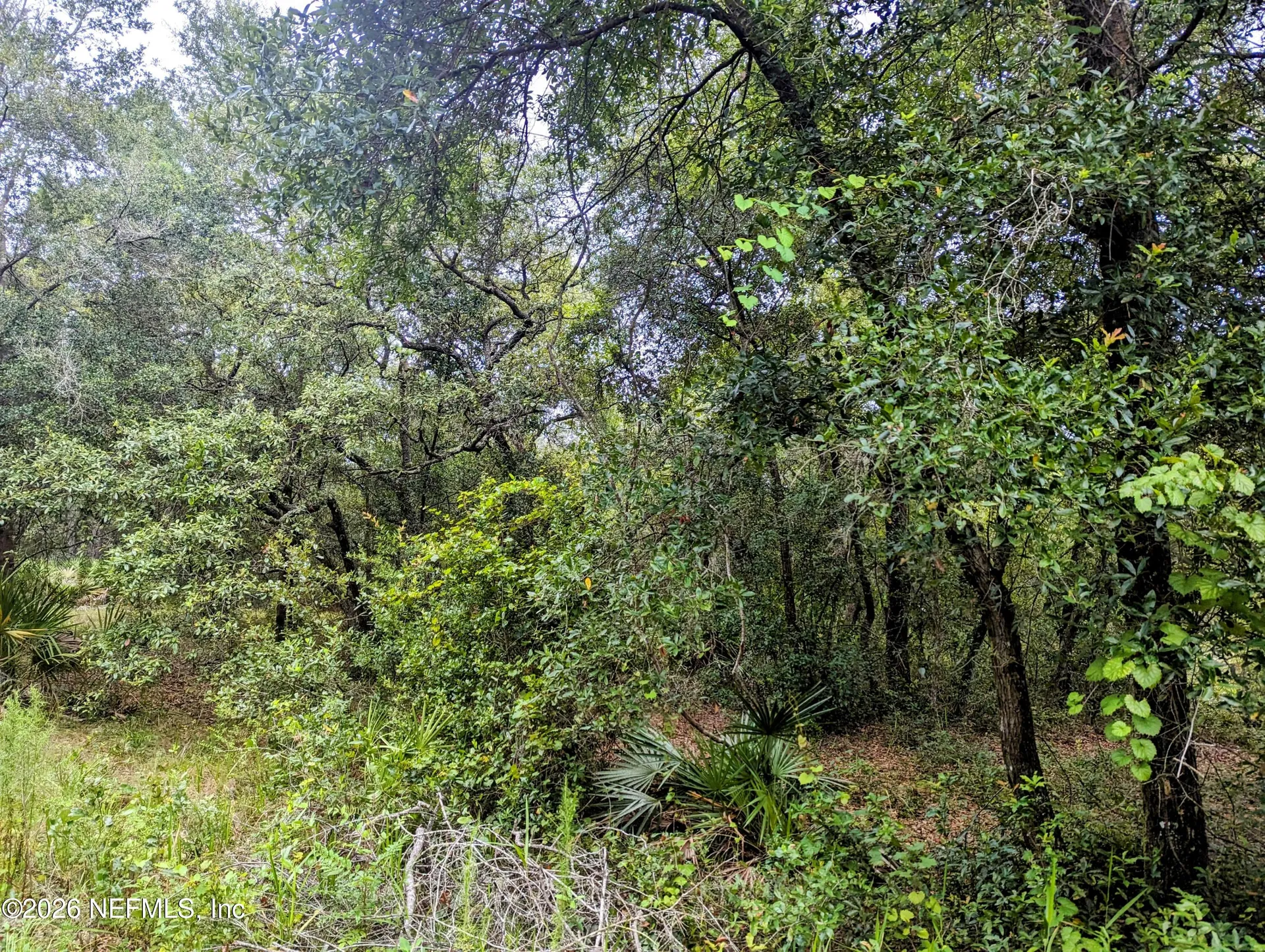 5572 Deerlodge Court Keystone Heights FL 32656