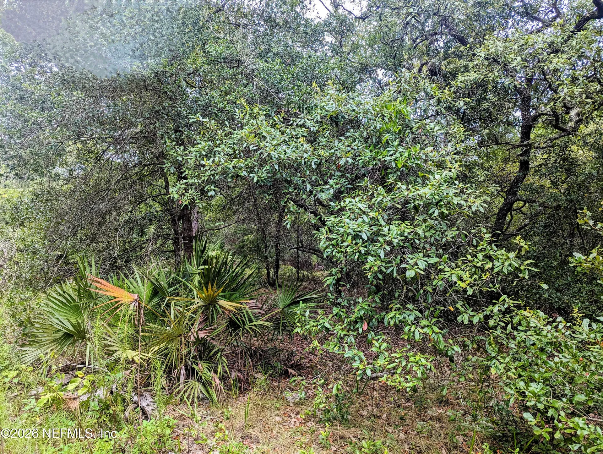 5572 Deerlodge Court Keystone Heights FL 32656