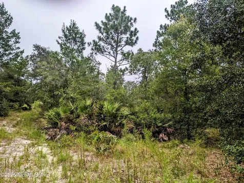 5572 Deerlodge Court Keystone Heights FL 32656