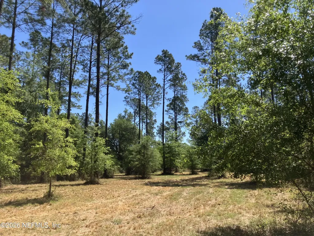 0 Prospect Landing Road Hilliard FL 32046
