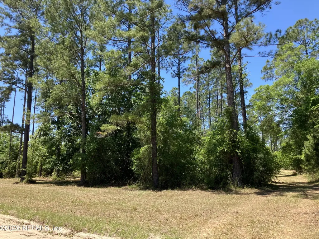 0 Prospect Landing Road Hilliard FL 32046