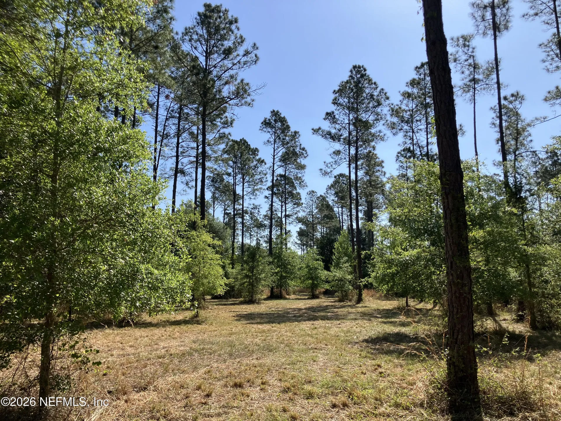 0 Prospect Landing Road Hilliard FL 32046