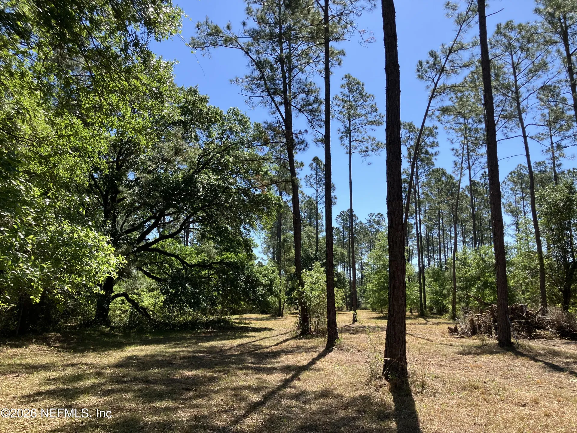 0 Prospect Landing Road Hilliard FL 32046