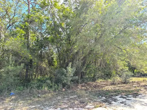 5537 Lassen Street Keystone Heights FL 32656