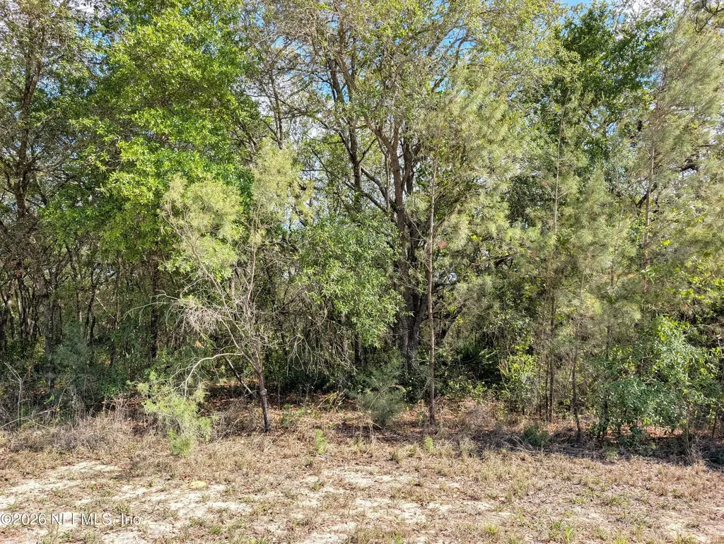 5535 Lassen Street Keystone Heights FL 32656