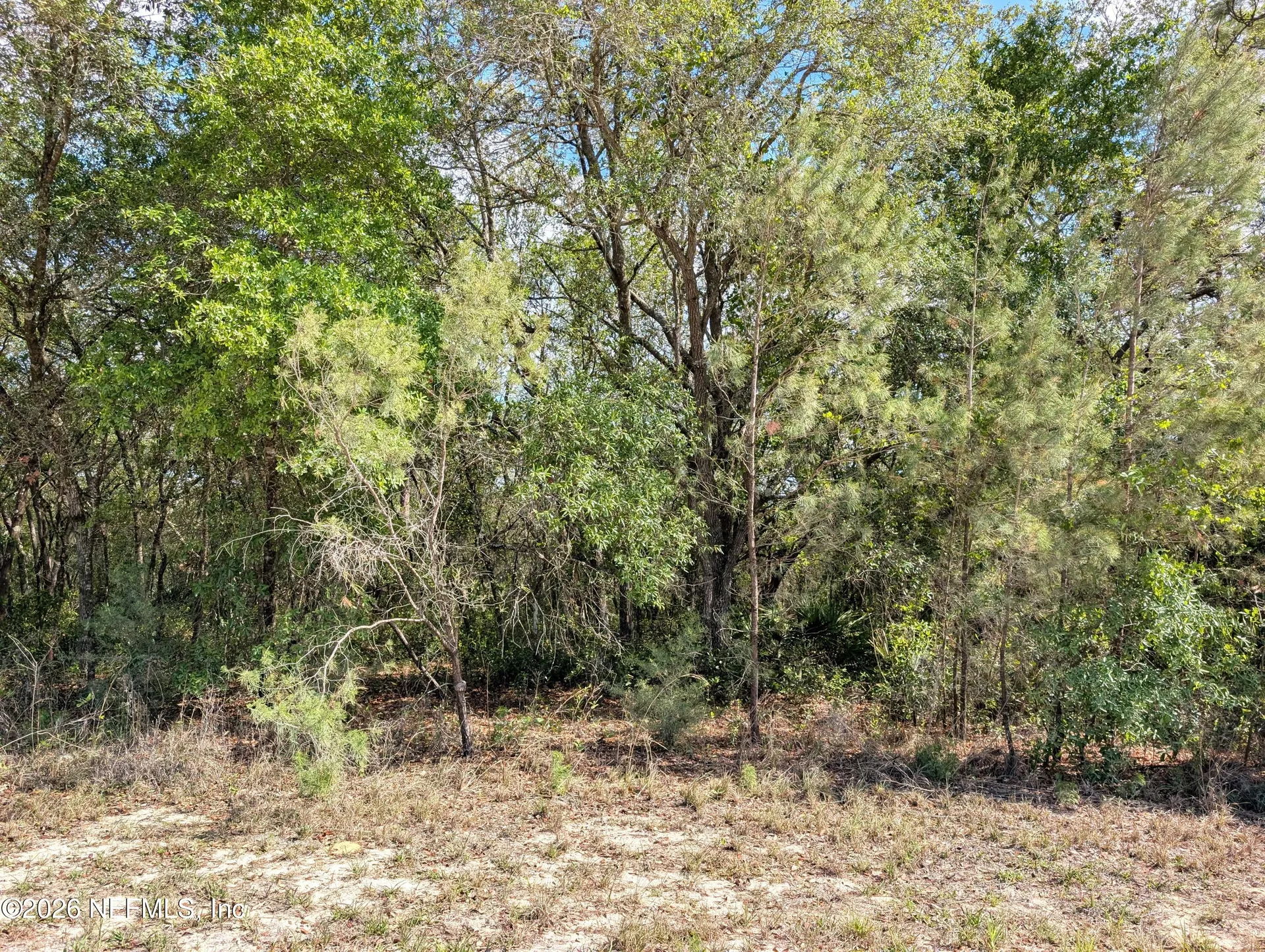 5535 Lassen Street Keystone Heights FL 32656
